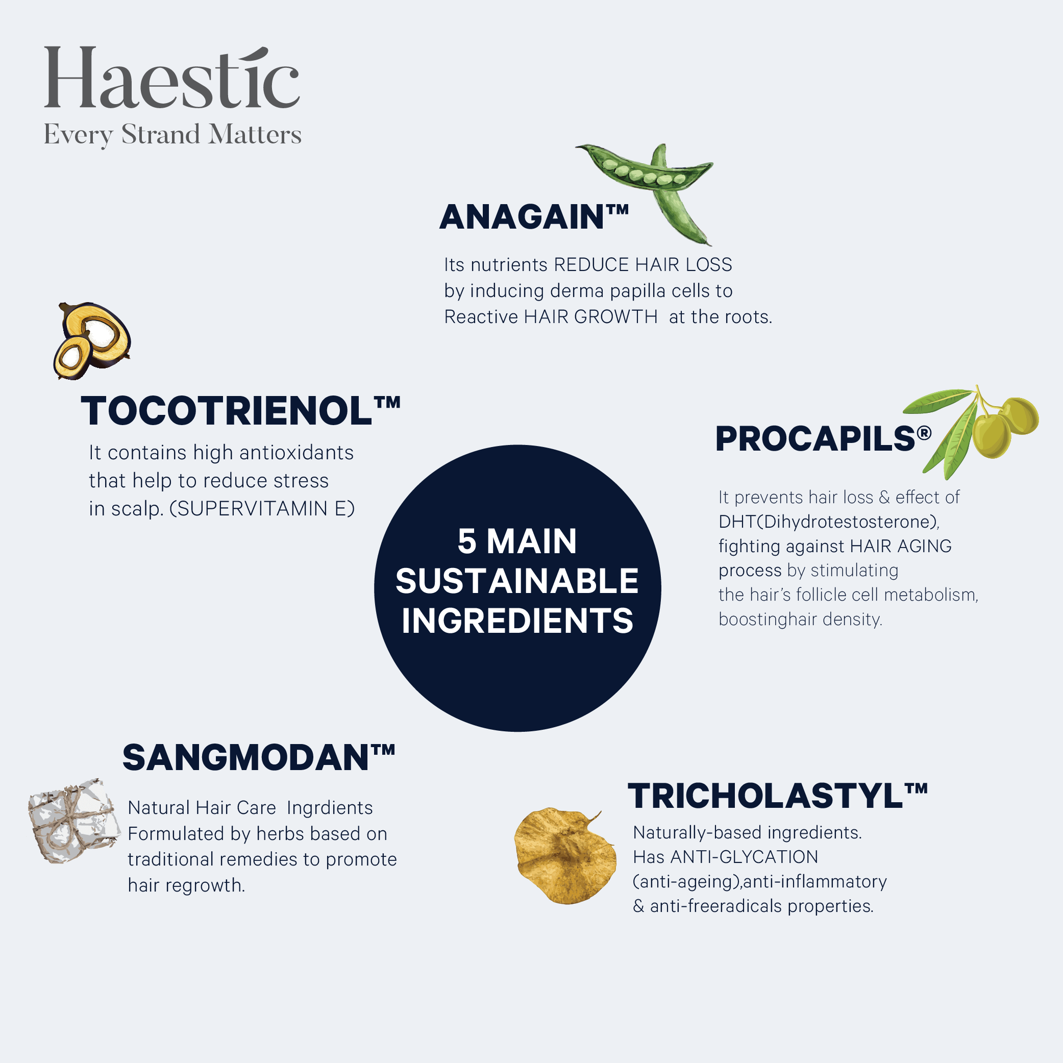 Haestic Hair Growth Ingredients
